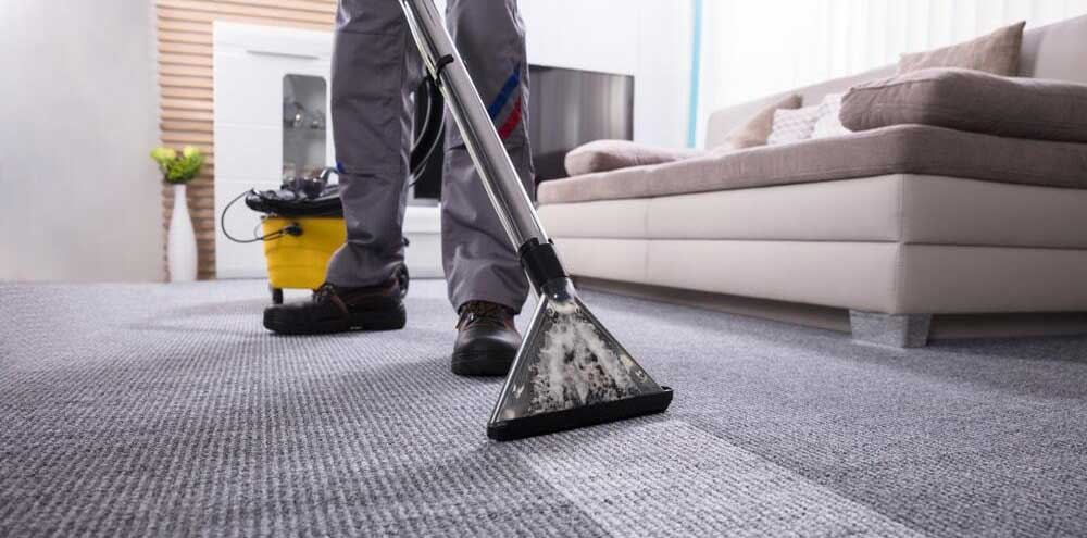 Professional Louisville Mold Cleanup cleaning equipment